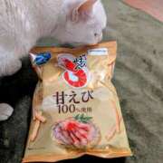 ヒメ日記 2025/07/13 14:13 投稿 大内 MadameRest(マダムレスト)