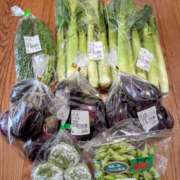 ヒメ日記 2025/07/19 17:11 投稿 大内 MadameRest(マダムレスト)