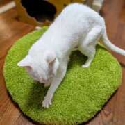 ヒメ日記 2025/07/24 17:12 投稿 大内 MadameRest(マダムレスト)