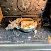 ヒメ日記 2025/08/02 14:09 投稿 大内 MadameRest(マダムレスト)