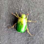 ヒメ日記 2025/08/03 14:10 投稿 大内 MadameRest(マダムレスト)