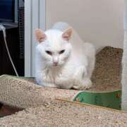 ヒメ日記 2025/08/07 10:04 投稿 大内 MadameRest(マダムレスト)