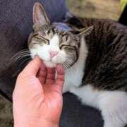 ヒメ日記 2025/08/10 17:05 投稿 大内 MadameRest(マダムレスト)