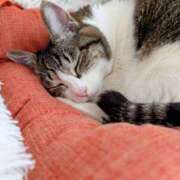 ヒメ日記 2025/08/13 14:11 投稿 大内 MadameRest(マダムレスト)