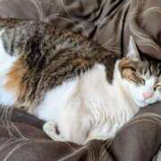 ヒメ日記 2025/08/13 14:17 投稿 大内 MadameRest(マダムレスト)