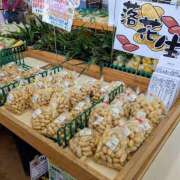 ヒメ日記 2025/08/14 14:19 投稿 大内 MadameRest(マダムレスト)