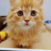 ヒメ日記 2025/09/02 14:14 投稿 大内 MadameRest(マダムレスト)