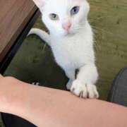 ヒメ日記 2025/09/03 17:09 投稿 大内 MadameRest(マダムレスト)