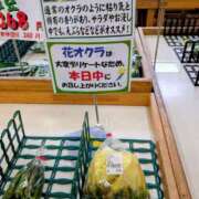 ヒメ日記 2025/09/08 15:52 投稿 大内 MadameRest(マダムレスト)