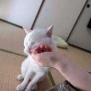 ヒメ日記 2025/09/12 14:17 投稿 大内 MadameRest(マダムレスト)