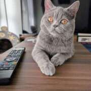 ヒメ日記 2026/02/22 15:23 投稿 大内 MadameRest(マダムレスト)