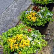 ヒメ日記 2026/03/14 14:33 投稿 大内 MadameRest(マダムレスト)