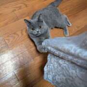 ヒメ日記 2026/03/20 04:51 投稿 大内 MadameRest(マダムレスト)