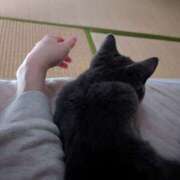 ヒメ日記 2026/03/20 11:01 投稿 大内 MadameRest(マダムレスト)