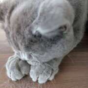 ヒメ日記 2026/03/22 17:21 投稿 大内 MadameRest(マダムレスト)