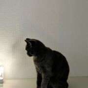 ヒメ日記 2026/03/26 17:20 投稿 大内 MadameRest(マダムレスト)