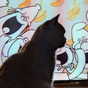 ヒメ日記 2026/03/27 17:19 投稿 大内 MadameRest(マダムレスト)