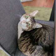 ヒメ日記 2026/03/28 17:20 投稿 大内 MadameRest(マダムレスト)