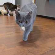 ヒメ日記 2026/04/02 11:37 投稿 大内 MadameRest(マダムレスト)