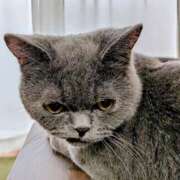 ヒメ日記 2026/04/07 17:22 投稿 大内 MadameRest(マダムレスト)