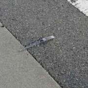 ヒメ日記 2026/04/09 03:38 投稿 大内 MadameRest(マダムレスト)