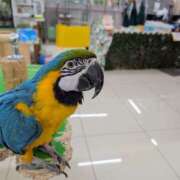 ヒメ日記 2026/04/10 15:11 投稿 大内 MadameRest(マダムレスト)