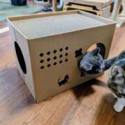 ヒメ日記 2026/04/16 17:15 投稿 大内 MadameRest(マダムレスト)