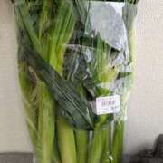 ヒメ日記 2026/04/25 17:16 投稿 大内 MadameRest(マダムレスト)