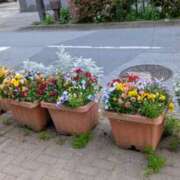 ヒメ日記 2026/04/26 13:28 投稿 大内 MadameRest(マダムレスト)