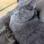 ヒメ日記 2026/04/28 17:16 投稿 大内 MadameRest(マダムレスト)