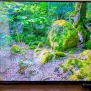 ヒメ日記 2026/05/11 10:49 投稿 大内 MadameRest(マダムレスト)