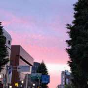 ヒメ日記 2026/05/26 05:28 投稿 大内 MadameRest(マダムレスト)