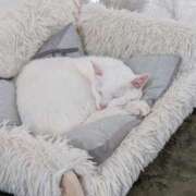 ヒメ日記 2026/07/14 09:07 投稿 大内 MadameRest(マダムレスト)