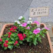 ヒメ日記 2026/08/23 11:28 投稿 大内 MadameRest(マダムレスト)