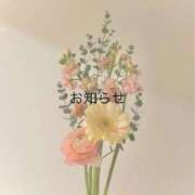 ヒメ日記 2025/07/04 09:46 投稿 おとは 茨城龍ヶ崎取手ちゃんこ