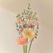 ヒメ日記 2025/08/14 21:56 投稿 おとは 茨城龍ヶ崎取手ちゃんこ