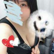 ヒメ日記 2024/12/20 14:21 投稿 めい モアグループ熊谷人妻花壇