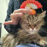 ヒメ日記 2026/01/17 13:18 投稿 めぐみ 松本人妻隊