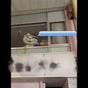 ヒメ日記 2025/11/19 16:24 投稿 伊東 なな【SSR級推しフラグ】 秘書コレクション 高松店