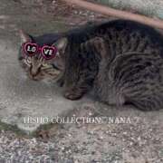 ヒメ日記 2025/11/28 13:54 投稿 伊東 なな【SSR級推しフラグ】 秘書コレクション 高松店