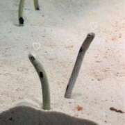 ヒメ日記 2025/12/07 11:05 投稿 伊東 なな【SSR級推しフラグ】 秘書コレクション 高松店