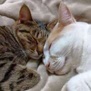 ヒメ日記 2025/07/07 23:28 投稿 ゆうな モアグループ 土浦人妻花壇