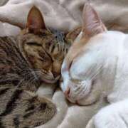 ヒメ日記 2025/07/07 23:33 投稿 ゆうな モアグループ 土浦人妻花壇