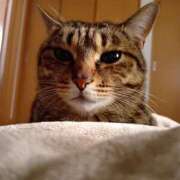 ゆうな ゆうなです(о´∀`о) モアグループ 土浦人妻花壇