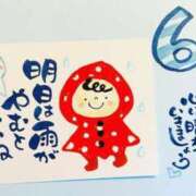 ヒメ日記 2025/06/12 13:19 投稿 あきら 鹿児島ちゃんこ霧島店