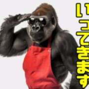 ヒメ日記 2025/06/12 18:59 投稿 あきら 鹿児島ちゃんこ霧島店