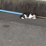 ヒメ日記 2025/06/19 21:59 投稿 あきら 鹿児島ちゃんこ霧島店