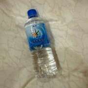 ヒメ日記 2024/12/15 17:35 投稿 さくら 晴れんち