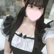 ヒメ日記 2025/03/25 13:02 投稿 さくら 晴れんち