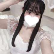 ヒメ日記 2025/07/24 15:42 投稿 さくら 晴れんち